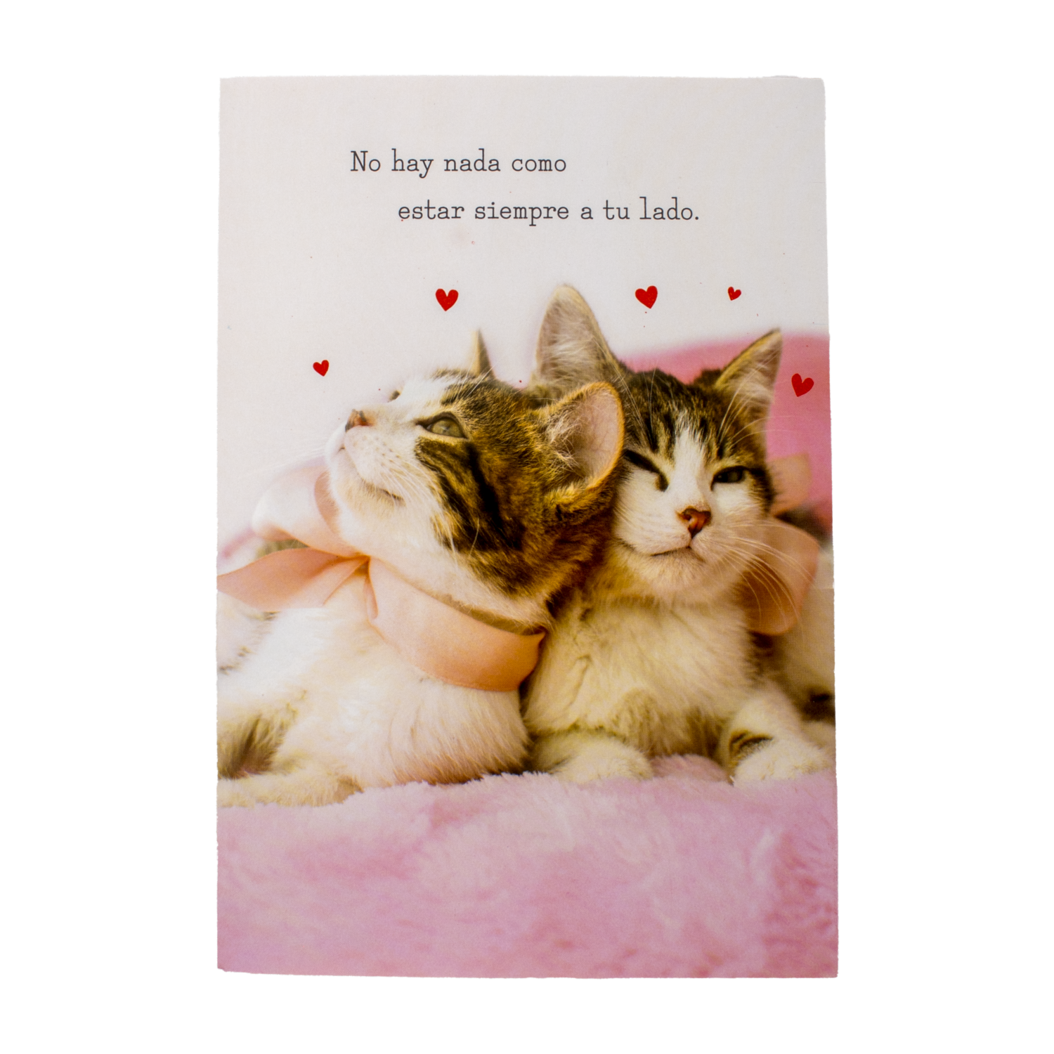 Tarjeta Toda Ocasión HALLMARK 14,6 X 21,1 Cm