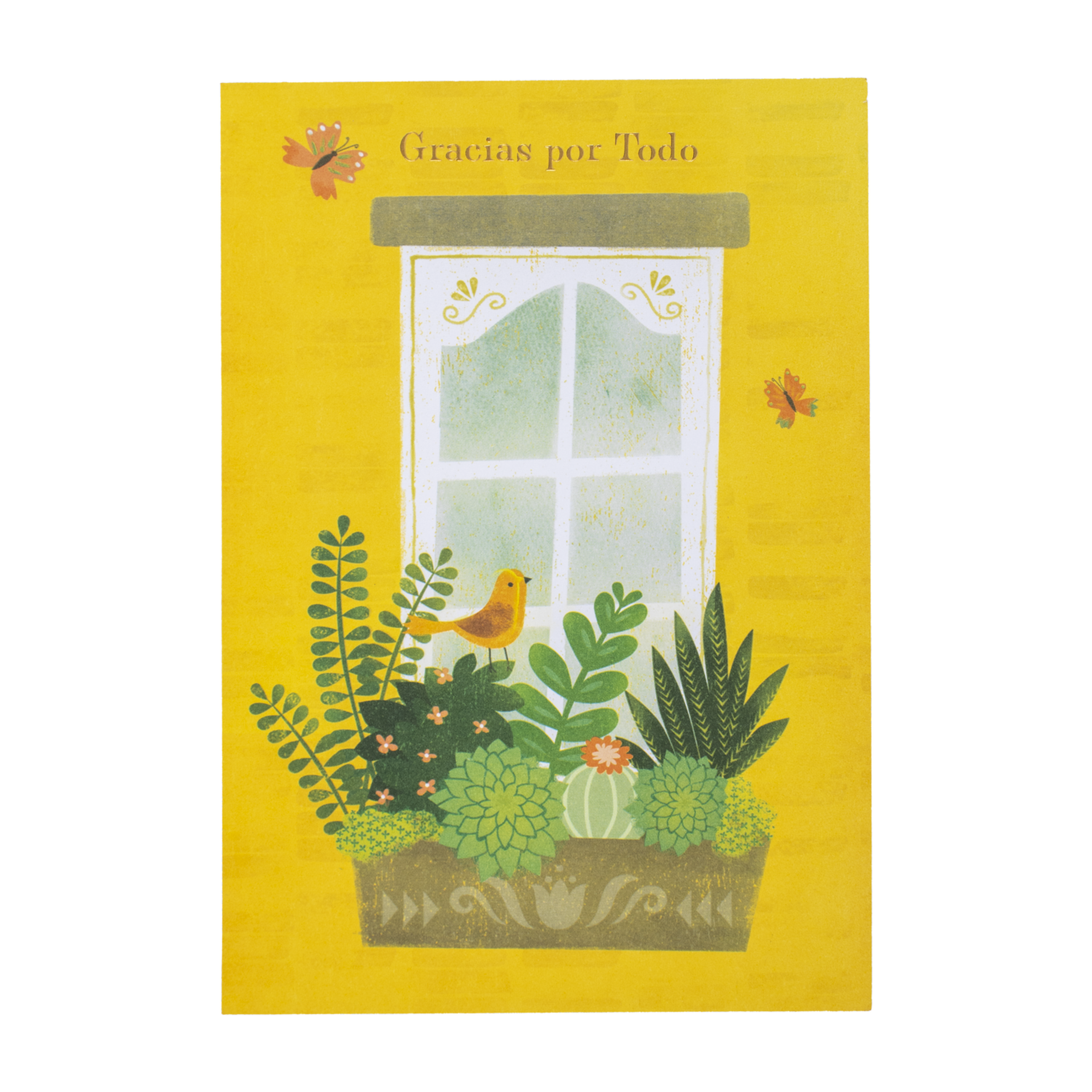Tarjeta Toda Ocasión HALLMARK 14,6 X 21,1 Cm