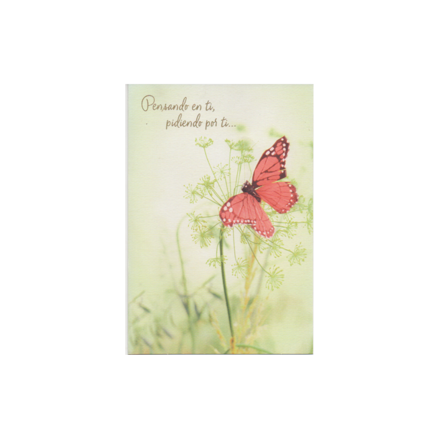Tarjeta De Felicitación Pensando En Ti Mariposa HALLMARK 1 Pieza