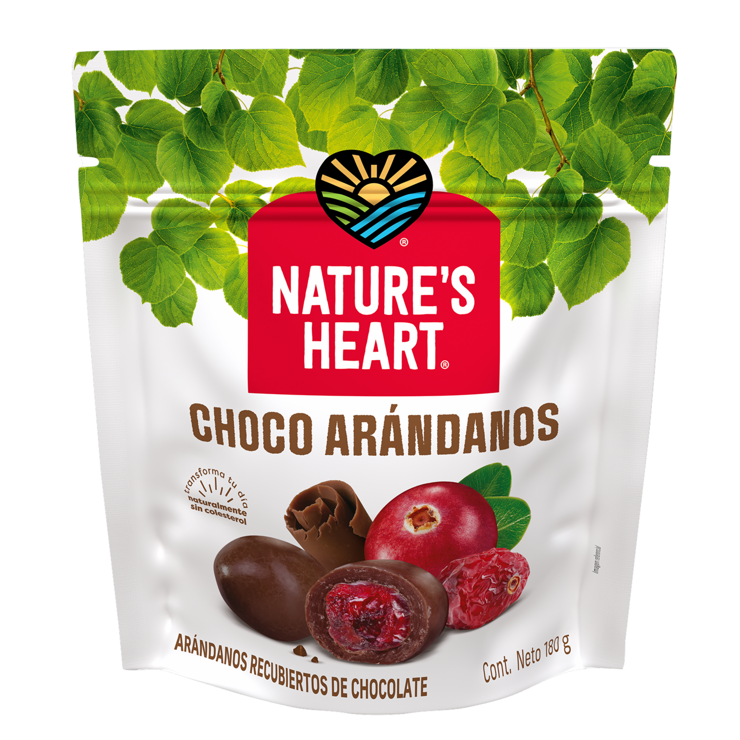 Frutos Secos Choco Arándanos NATURE’S HEART 180 G