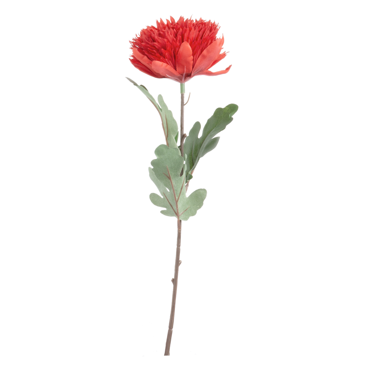 Flor Monuda FREE HOME Rojo
