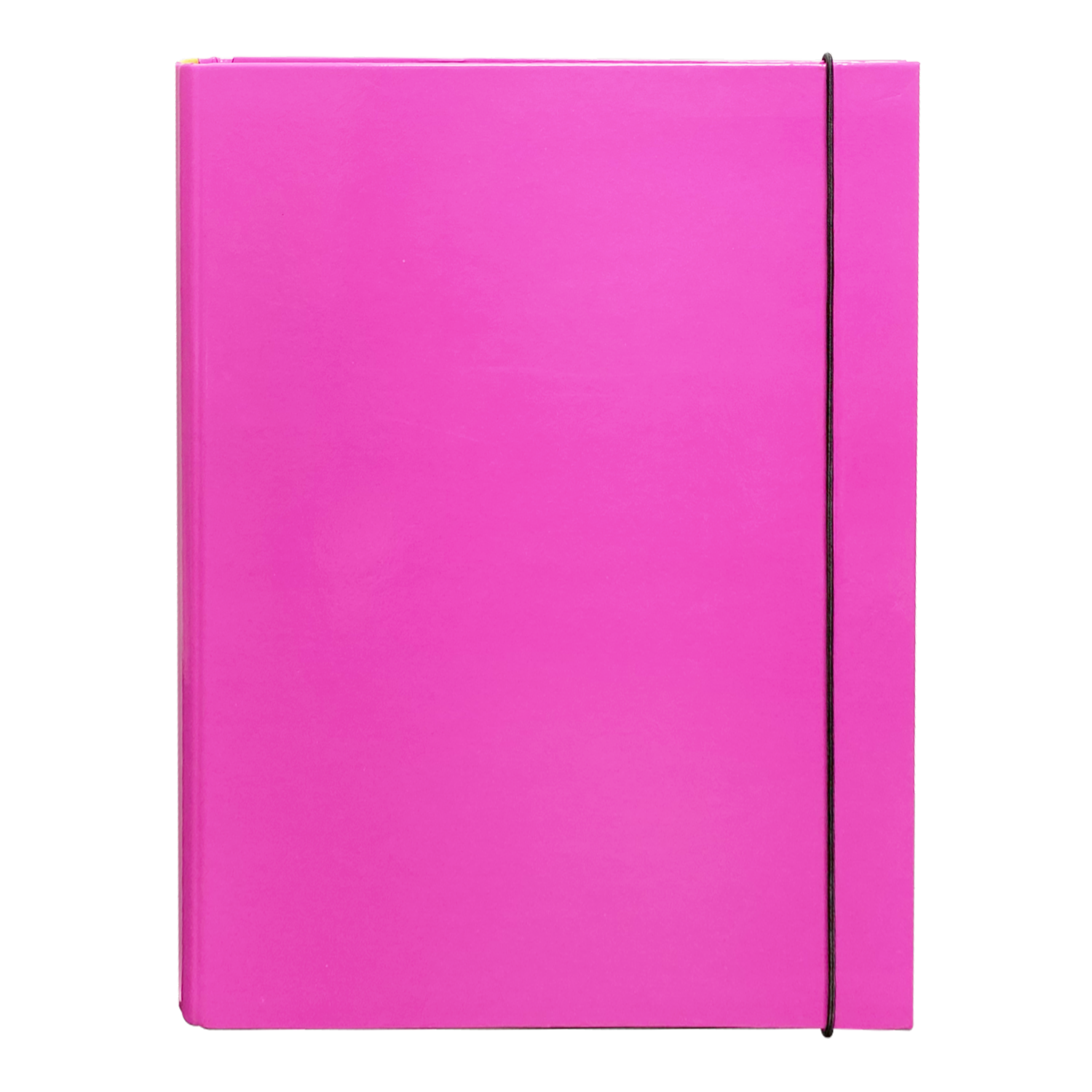 Carpeta 2 Argollas Bicolor Fucsia Con Elástico U. IDEAL A4