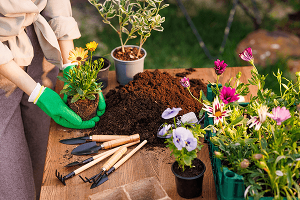Tips para cuidar tu jardín en los cambios de clima
