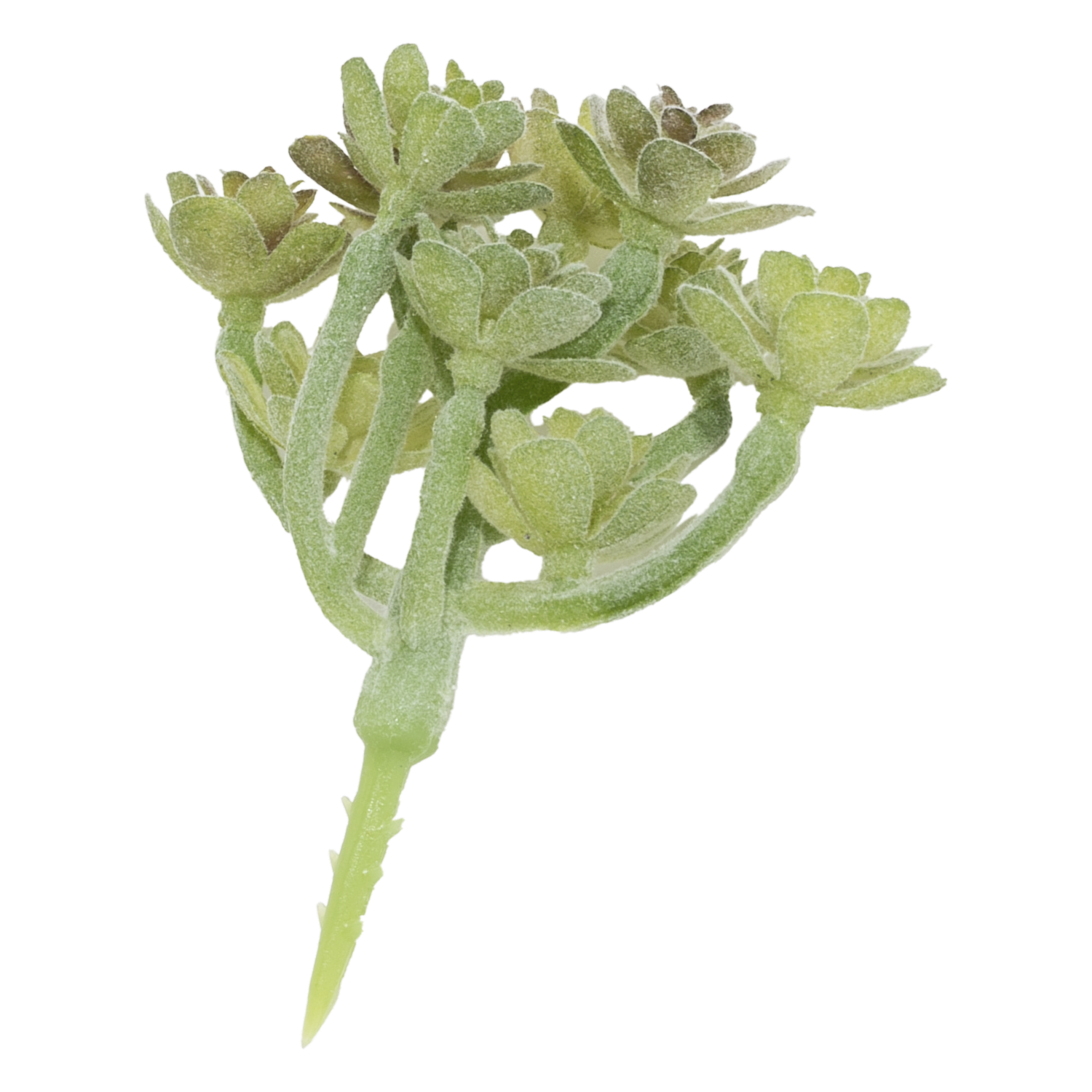 Flor Artificial Suculenta Verte Tipo Flor Pequena SKYLARK 8X8.5 Cm