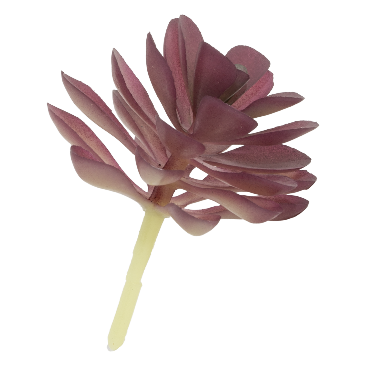 Flor Artificial Suculenta Roja Hoja De Gota SKYLARK 8X7 Cm