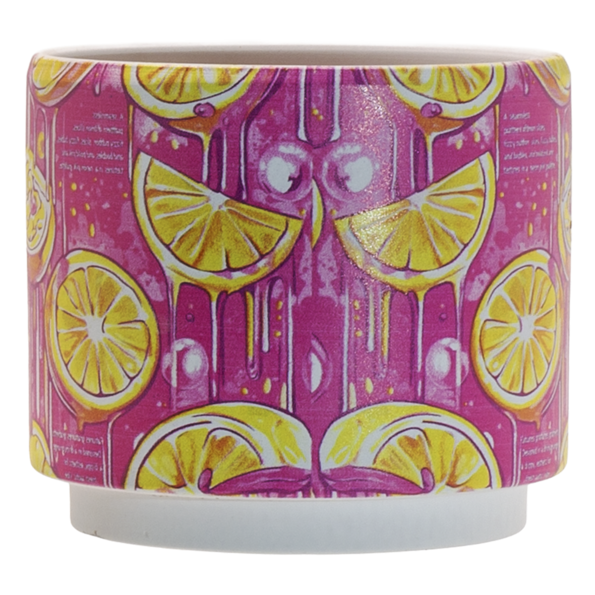 Maceta Diseño Limon Y Fucsia RONGLIBAO HOMEWARE 12X10.8 Cm