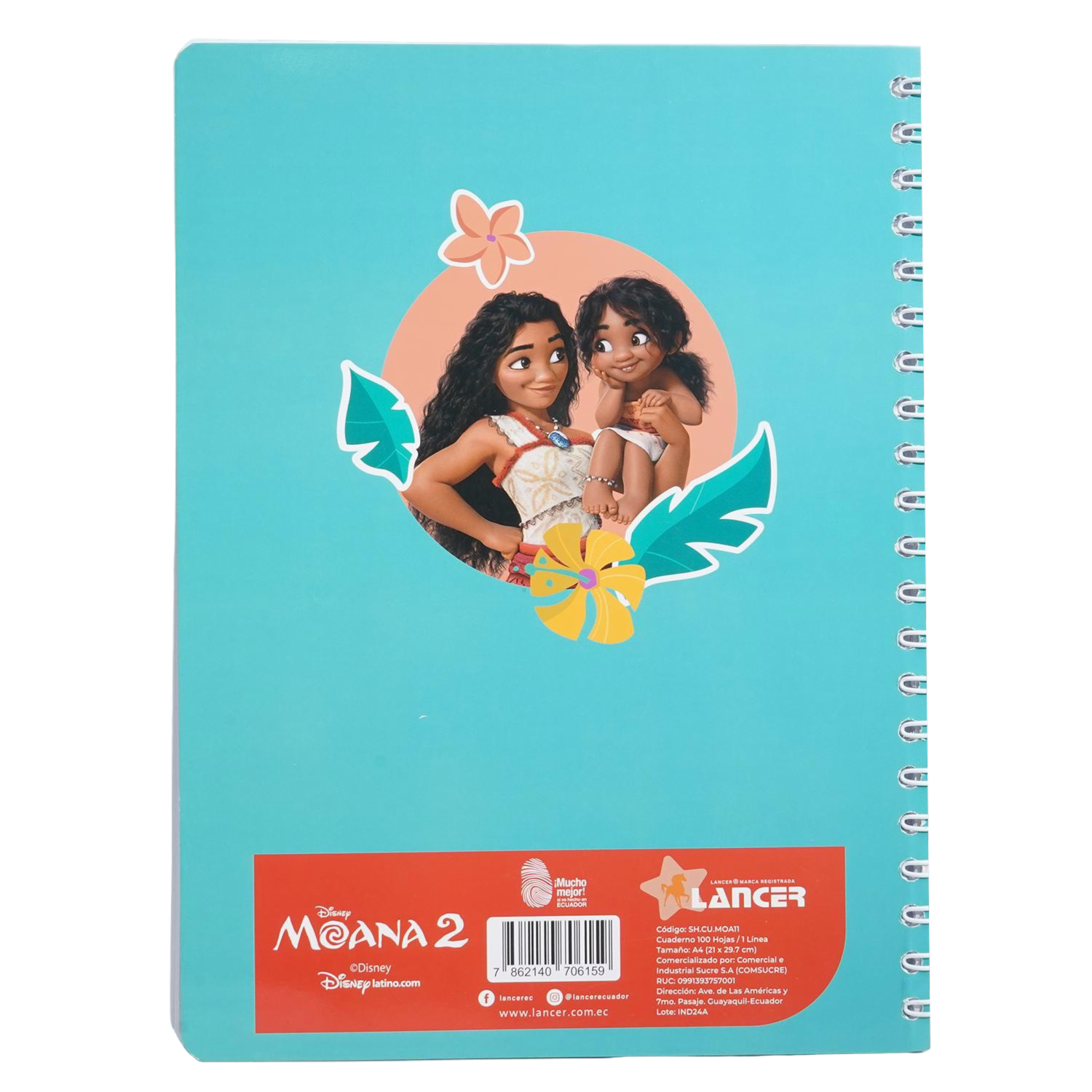 Cuaderno Universitario Moana 1 Línea DISNEY 100 Hojas