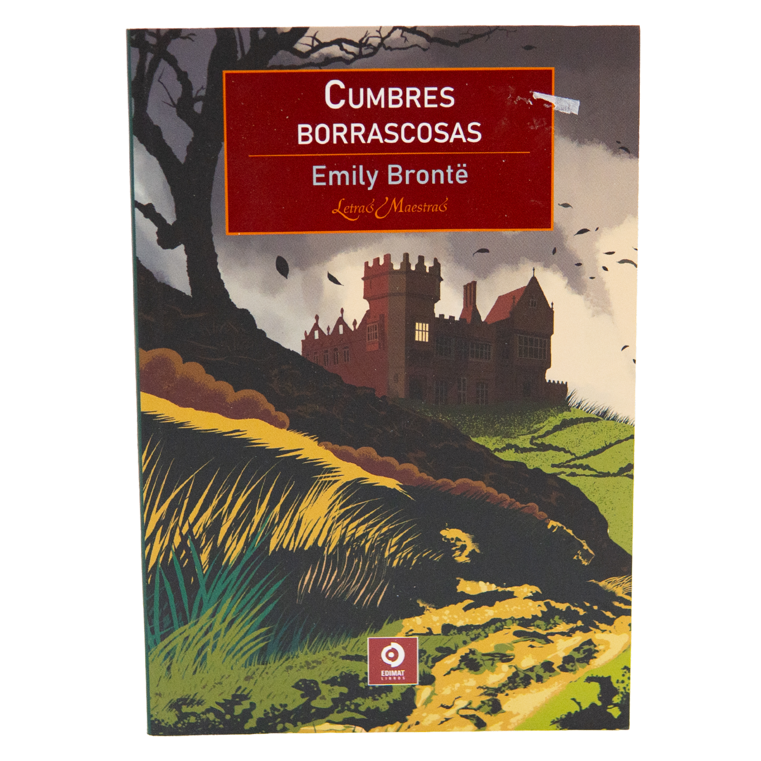 Libro Cumbres Borrascosas EDIMAT 334 Páginas