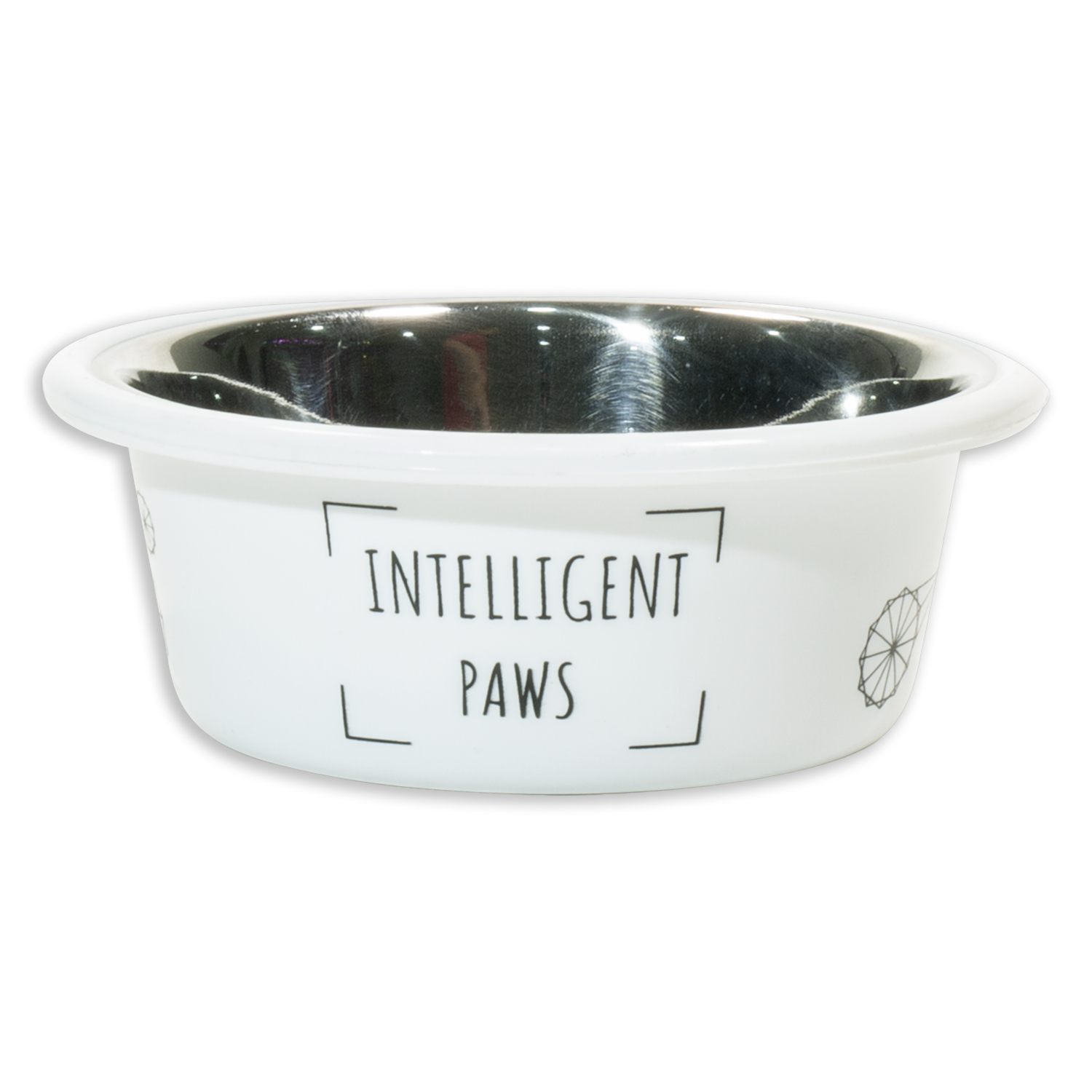 Plato Para Mascota Blanco Paws Con Aro Termoplástico KUMAR 1 Pieza