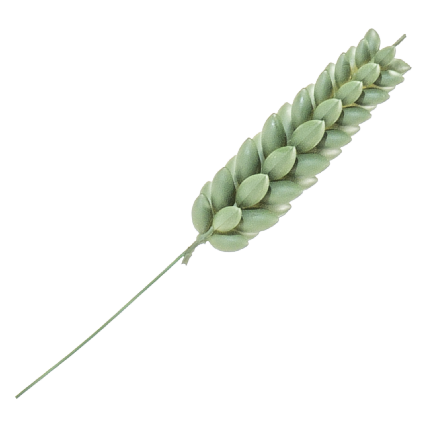 Flor Artificial Decorativa Suculenta Verde Alta SKYLARK 12X3  Cm