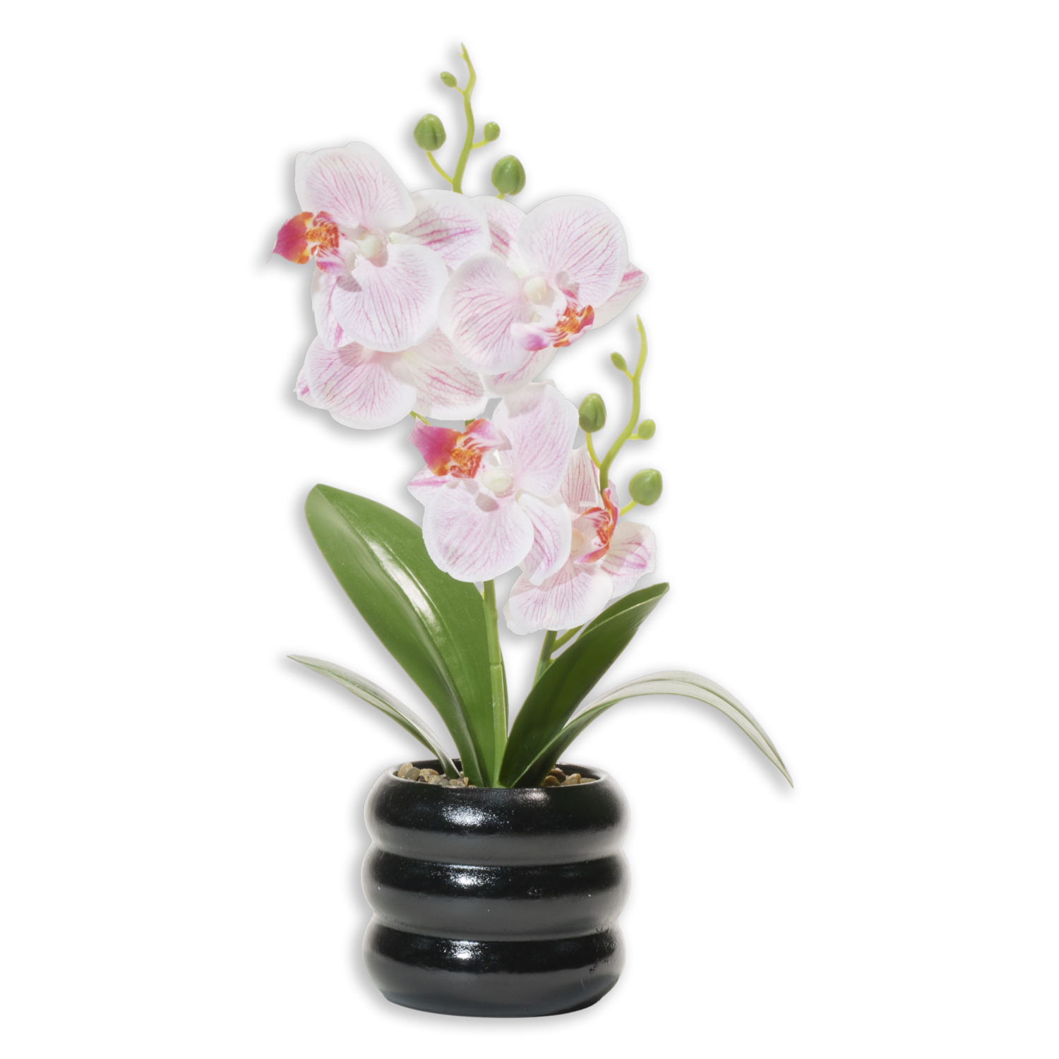 Orquídea Artificial Blanco Con Rosado En Maceta Negra SKYLARK