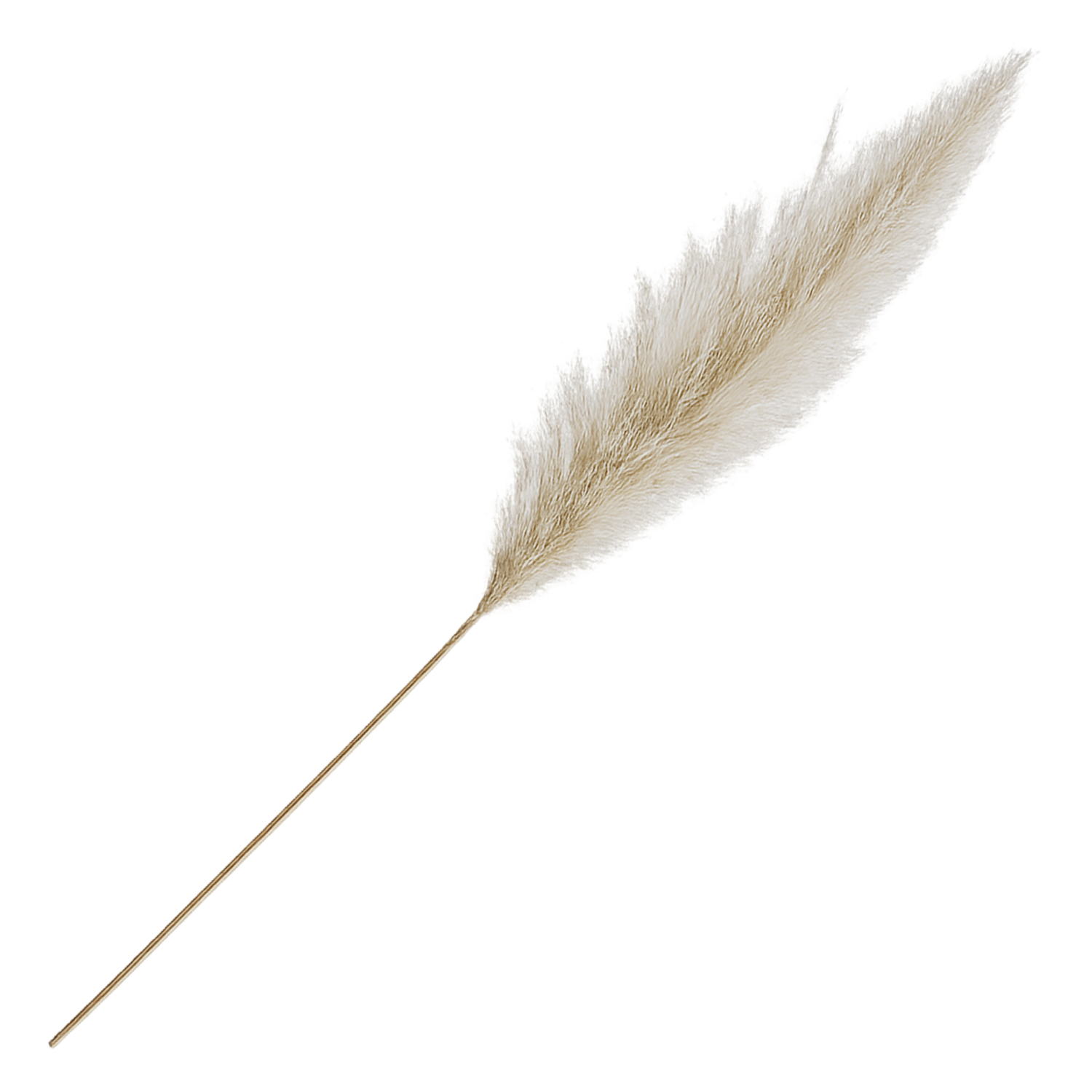 Flor Decorativa Paja Sigse Seca Beige SKYLARK 90 Cm
